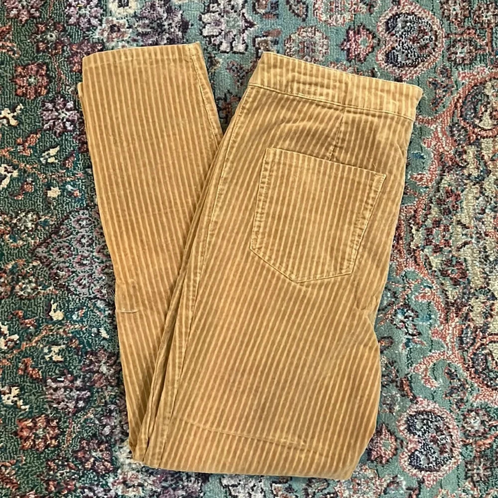FINAL PRICE Indigo Rein Corduroy Skinny Pants